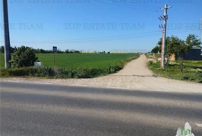 Teren intravilan - vanzare - Calarasi - Frumusani Teren intravilan - vanzare - Calarasi - Frumusani - 2