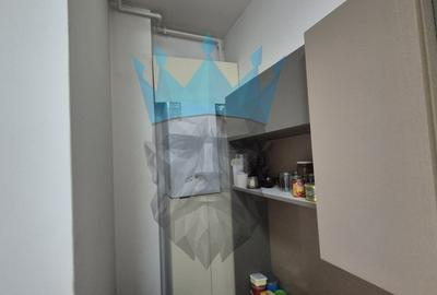 Apartament cu 3 camere decomandat, mobilat în Parcul Carol - 9