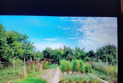 Casa veche locuibila + 900 mp teren - 2