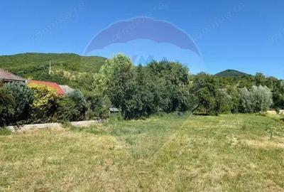 Teren de 3154 mp, în Bârsana - 8