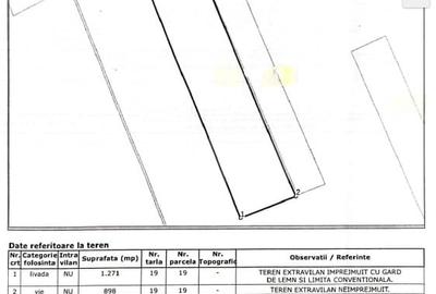 Teren Construcții extravilan de 4908 mp, în Nord - 2
