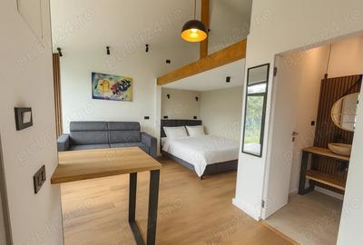 Vand complex de case de vacanta sau inchiriere in regim hotelier Rasnov - 2