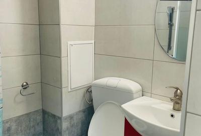 Garsonieră decomandată în Exterior Vest - 4