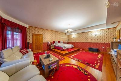 Vila modern 6 camere de vanzare in Gradiste - 12