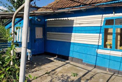 Casă cu 2 camere în Cozia - 7