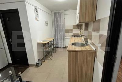 Apartament de inchiriat, cu 1 camera, zona LIDL Tatarasi - 5