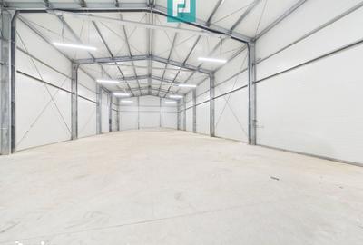 Spațiu comercial, de 550 mp, în Giarmata - 3