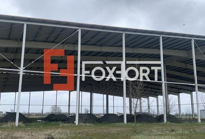 COMISION 0% Hala industriala 5500 mp utili zona de Nord Timisoara - ID V5143 - 11