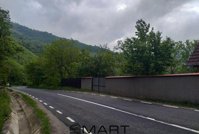 Teren Construcții extravilan de 7432 mp, în Săsciori - 9