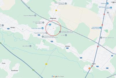Vânzare teren 1000 mp în orașul Măgurele - 5