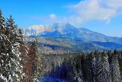 Aparthotel cu view superb Valea Prahovei - 5