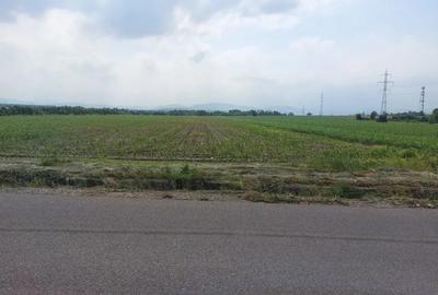 Teren de 3600 mp, în Central - 3