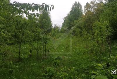 Ocazie!Teren intravilan in comuna Ciurila sat Saliste, priveliste - 2