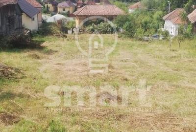 Teren intravilan cu CF 5400mp front 17 Savadisla jud Cluj - 4