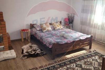 Vanzare casa la munte - zona turistica - Baia de Fier - 3