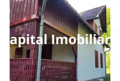 Proprietate Unica in Inima Naturii Galaoaia, Mure? - 2