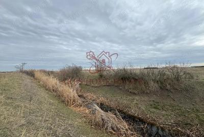 Teren 5.000 mp centura Calea Sagului- Freidorf. Comision 0 - 4