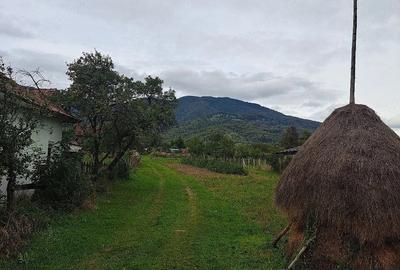Teren de 36000 mp, în Prundu Bârgăului - 5
