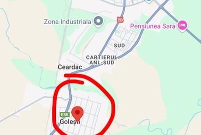 CASA DE VANZARE GOLESTI-VRANCEA - 13