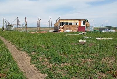 Spațiu comercial, în Copăceni - 6