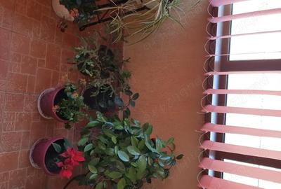 Casă cu 5 camere cu Teren 2550 Mp în Munteni - 1