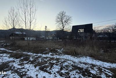 Teren de 10834 mp, în Dumbrăvești - 13