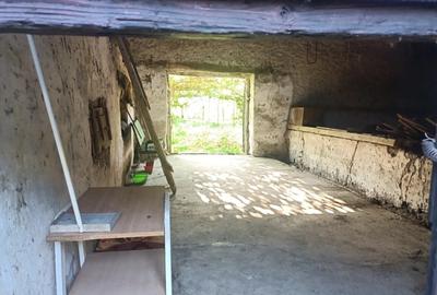 Inchiriez Proprietate la Munte - 10