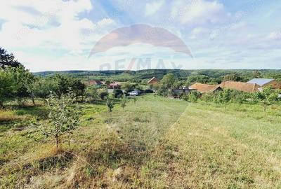 Teren de 3219 mp, în Hidiș - 4