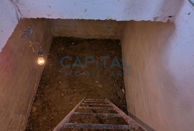 Casa de vanzare in Vaslui - zona Copou - 12