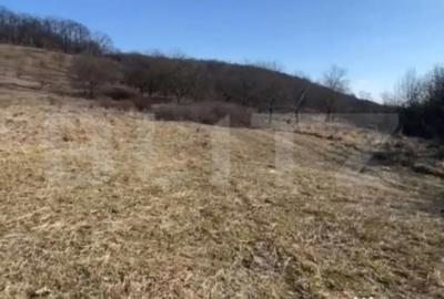 Teren de 20000 mp, în Central - 7