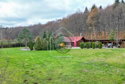 REZERVAT!!! CASA DE VACANTA SI TEREN 3100MP- BRASOV/CODLEA-GEAMANA - 3