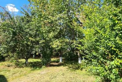 Casă cu 5 camere cu Teren 794 Mp în Livedea - 1