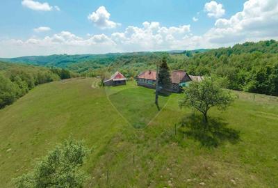 Casă individuală cu 5 camere cu Teren 55706 Mp în Valea Târnei - 1