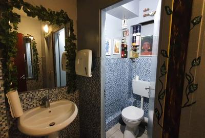 REC3001399 Spatiu Comercial I De Vanzare I Gradina Icoanei - 8