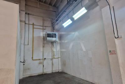 Hala Depozitare/Productie +Birou | Poduri Rulant | 1000 m.p. | Otopeni - 10