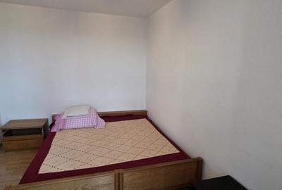 Apartament cu 2 camere nedecomandat în Elisabetin - 7