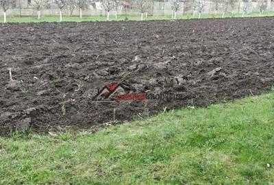 Teren de 600 mp, în Suceagu - 4