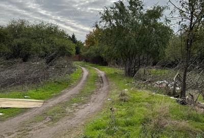 Teren de 2600 mp, în Găneasa