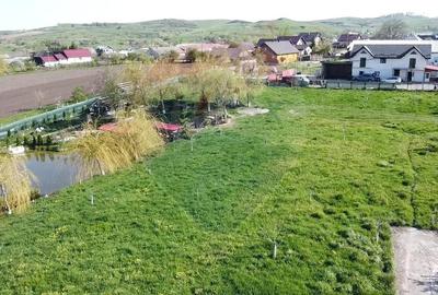 Teren agricol intravilan de 5174 mp, în Ilișești - 4