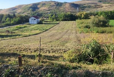 Teren Construcții intravilan de 2900 mp, în Căianu - 2