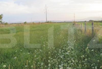 Teren de 6000 mp, în Turda - 8