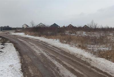 Teren Construcții intravilan de 6383 mp, în Vișan - 5