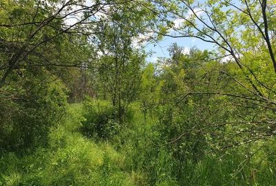 Teren extravilan Episcopia Bihorului - 3