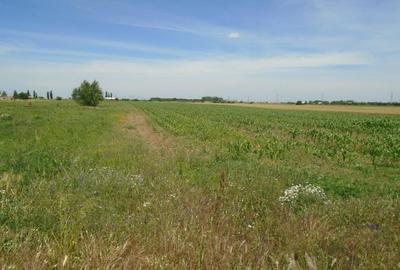 Teren agricol intravilan de 10151 mp, în Central