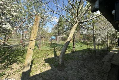Spațiu comercial, în Bercu Roșu - 6