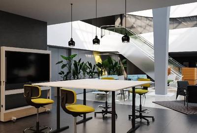 AFI Park Timisoara, Cladirea D, Central, 460 - 1120 mp  0% comision! AFI Park Timisoara, Cladirea D, Central, 460 - 1120 mp  0% comision! - 12