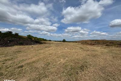 Teren de 15000 mp, în Biharia - 3