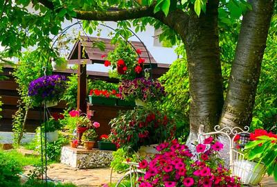 Casa de vanzare Iasi stil austriac - zona Bucium-restaurant Trei Sarmale - 8