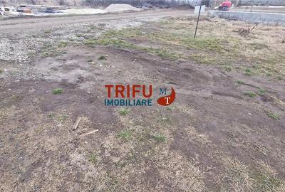 Teren de 1091 mp, în Cetate - 6
