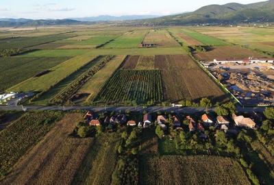 Teren INTRAVILAN 10,778mp Seini E 58 ideal/ activitati economice - 1